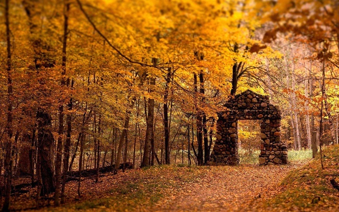 森林，树木，秋天，红色风格，石门 壁纸 图片