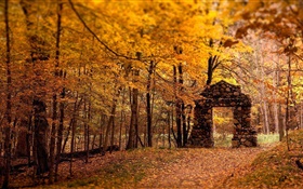 森林，树木，秋天，红色风格，石门 高清壁纸