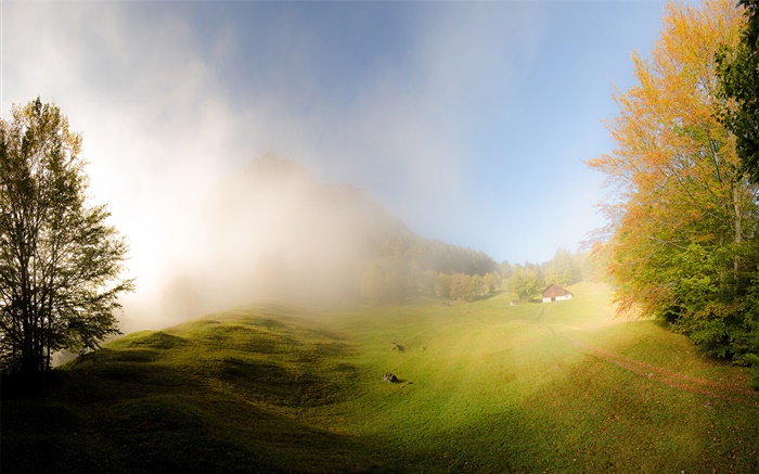 草，雾，早上，房子，格拉鲁斯，瑞士 壁纸 图片