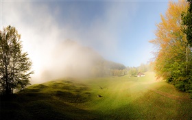 草，雾，早上，房子，格拉鲁斯，瑞士 高清壁纸