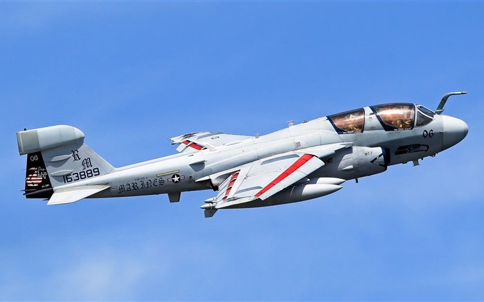 格鲁门公司的EA-6B徘徊者飞机 壁纸 图片