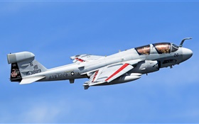 格鲁门公司的EA-6B徘徊者飞机 高清壁纸