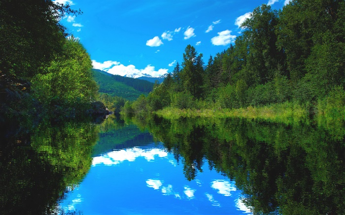湖泊，森林，树木，蓝天，水中的倒影 壁纸 图片