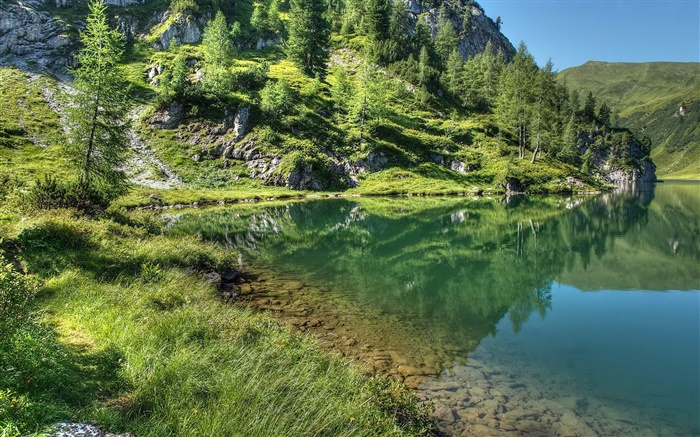 湖，山，树，草，水中的倒影 壁纸 图片