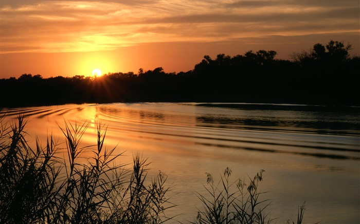 湖，日落，草，黄昏 壁纸 图片