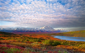 湖，树，云，黄昏，迪纳利国家公园，阿拉斯加，美国 高清壁纸