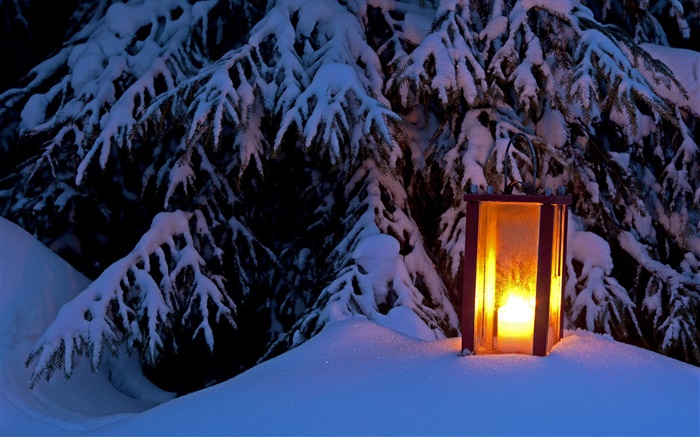 点亮的灯笼，雪树，冬天 壁纸 图片