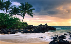 玛凯那湾，毛伊岛，夏威夷，秘密海滩 高清壁纸