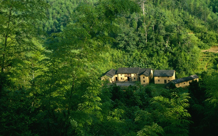 山，树木，绿色，老房子，中国山水 壁纸 图片