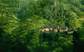 山，树木，绿色，老房子，中国山水 高清壁纸