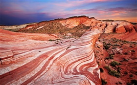 红色的岩石，沙漠，日落 高清壁纸