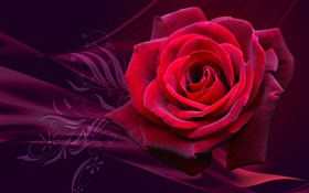 红玫瑰的花特写 高清壁纸