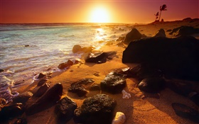 洛矶海岸线，日落，夏威夷，美国 高清壁纸