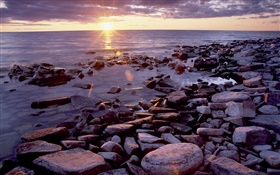 石头，海岸，海，日出，云海 高清壁纸