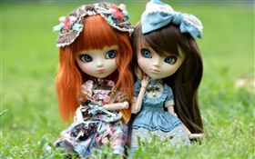 两个玩具女孩，红色和黑色的头发，娃娃