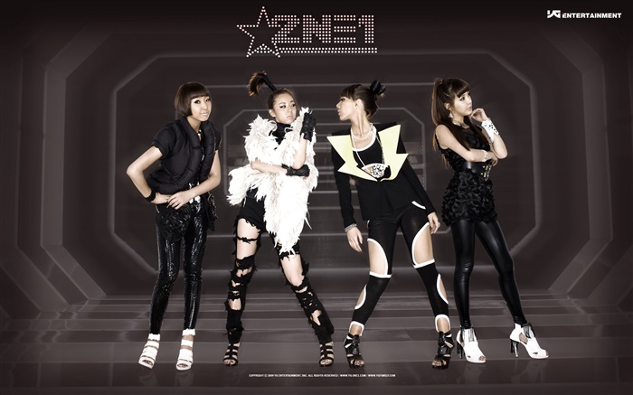2NE1，韩国音乐女孩 07 壁纸 图片