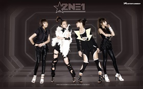 2NE1，韩国音乐女孩 07 高清壁纸