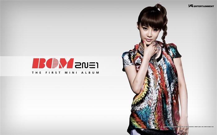 2NE1，韩国音乐女孩 08 壁纸 图片