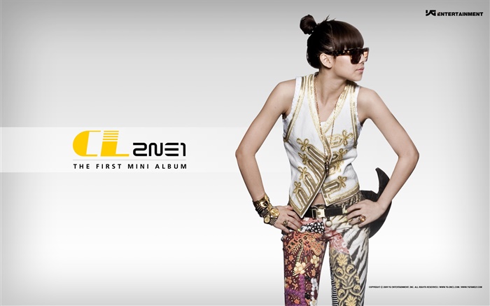 2NE1，韩国音乐女孩 09 壁纸 图片