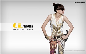 2NE1，韩国音乐女孩 09 高清壁纸