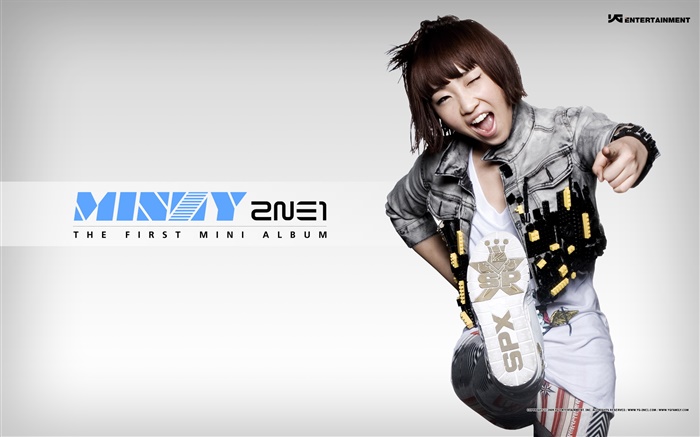 2NE1，韩国音乐女孩 11 壁纸 图片