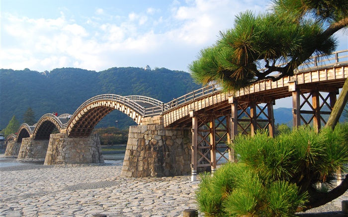 拱形木桥，树木 壁纸 图片