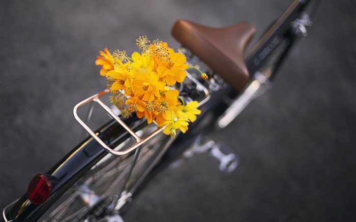 自行车，黄色的花，花束 壁纸 图片