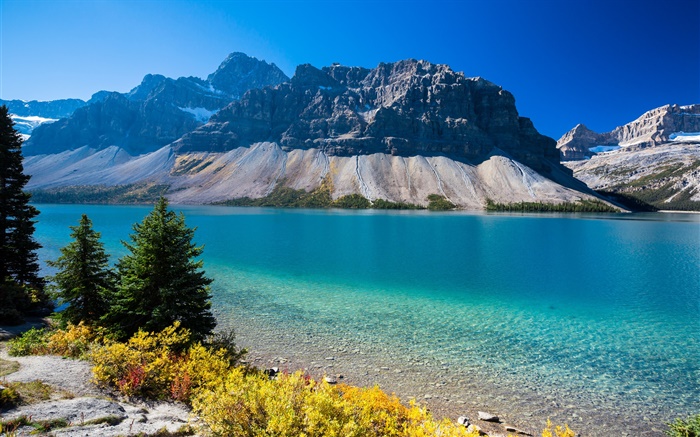 弓湖，加拿大阿尔伯塔省，山，树，蓝天 壁纸 图片