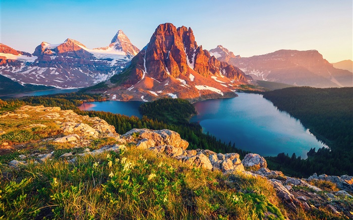 加拿大，不列颠哥伦比亚省，湖，山，森林，树木 壁纸 图片