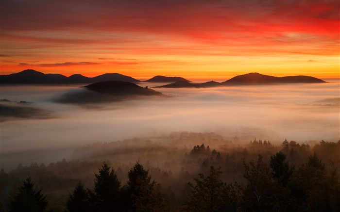 黎明，山，林，云，红色的天空，雾 壁纸 图片