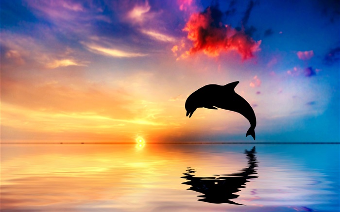 海豚跳跃，剪影，海洋，水中的倒影，夕阳 壁纸 图片