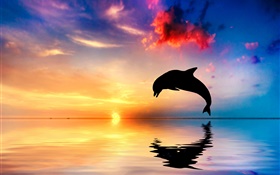 海豚跳跃，剪影，海洋，水中的倒影，夕阳