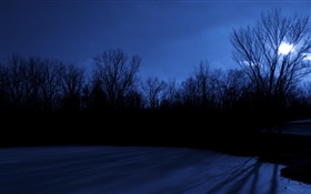 复活节湖，树，晚上，月亮，得梅因，美国爱荷华州