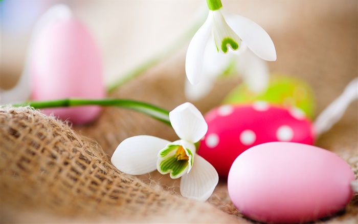 复活节彩蛋，雪花莲 壁纸 图片