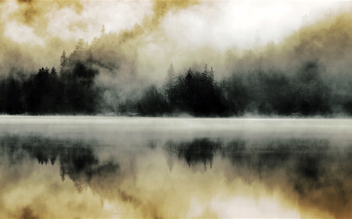 森林，湖泊，薄雾，黎明，水中的倒影 壁纸 图片