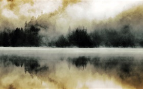 森林，湖泊，薄雾，黎明，水中的倒影 高清壁纸