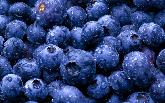 水果特写镜头，蓝莓 壁纸 图片