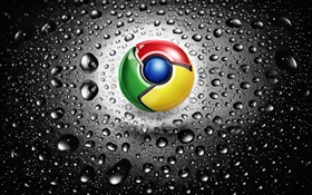 谷歌Chrome浏览器的标志，水滴