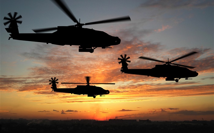 直升机飞行在夕阳 壁纸 图片