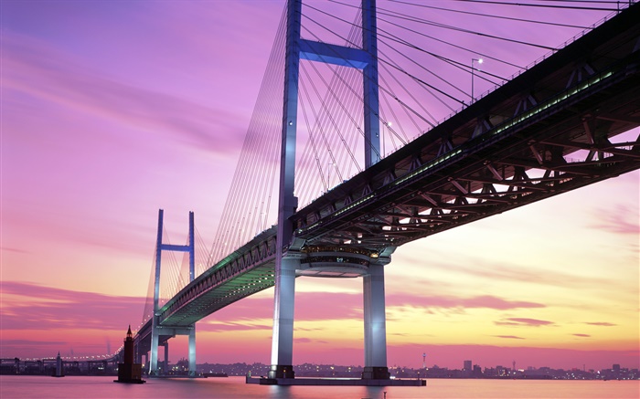 日本，桥，海，日落 壁纸 图片