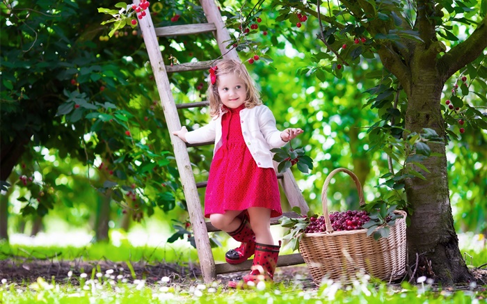 采摘樱桃的小女孩，儿童，树，花园 壁纸 图片