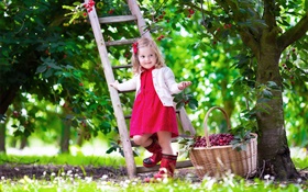 采摘樱桃的小女孩，儿童，树，花园 高清壁纸