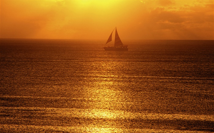 上午，雾，海，船，太阳光线 壁纸 图片