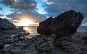 岩石，海，夕阳，科罗曼德，新西兰