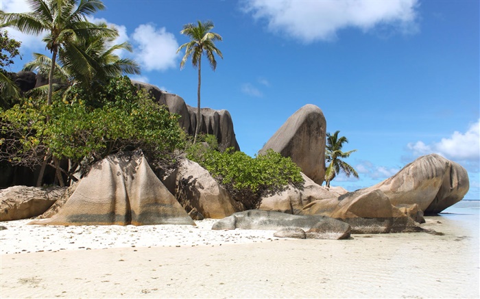 塞舌尔岛，沙滩，石头，棕榈树 壁纸 图片