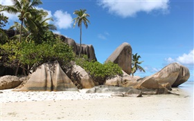 塞舌尔岛，沙滩，石头，棕榈树 高清壁纸