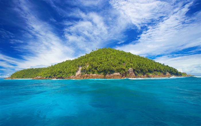 塞舌尔岛，小岛，树木，海 壁纸 图片