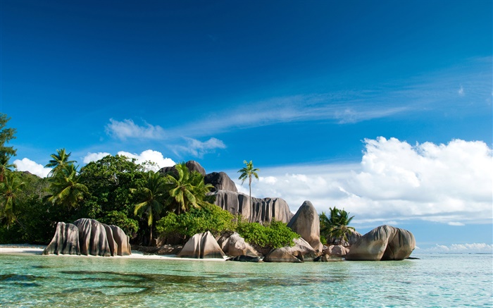 塞舌尔岛，海，海岸，石头，棕榈树，云 壁纸 图片