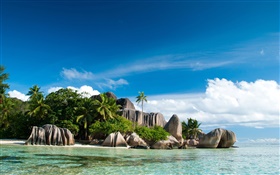 塞舌尔岛，海，海岸，石头，棕榈树，云 高清壁纸