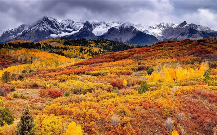 边坡，山，树，秋天，云 壁纸 图片